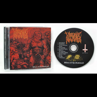 VIOLENT HAMMER Riders of the wasteland [CD]